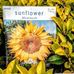 Green Thumb Tips Soil pH, Soil Temperature, Potting Mix and More Image